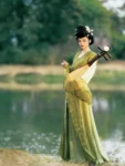Restored Tang Dynasty Hanfu – Half-Sleeve Beizi Top-1