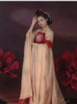 Ensemble Hanfu avec jupe Hezi brodée de la dynastie Tang-1