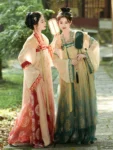 Tang Dynasty Embroidered Qixiong Ruqun Set-7