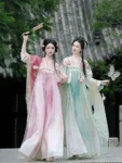Tang Dynasty Flower Embroidered Qixiong Ruqun Set