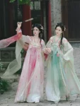 Tang Dynasty Flower Embroidered Qixiong Ruqun Set-1