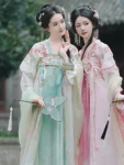 Tang Dynasty Flower Embroidered Qixiong Ruqun Set-1