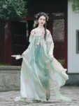 Tang Dynasty Flower Embroidered Qixiong Ruqun Set-1