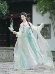 Tang Dynasty Flower Embroidered Qixiong Ruqun Set-1