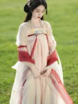 Tang Dynasty  Flower Embroidery Qixiong Ruqun Set-6