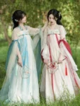 Tang Dynasty  Flower Embroidery Qixiong Ruqun Set-6