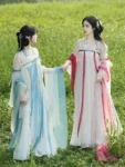 Tang Dynasty  Flower Embroidery Qixiong Ruqun Set-6