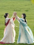 Tang Dynasty  Flower Embroidery Qixiong Ruqun Set-6