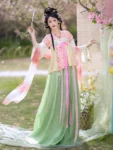 Tang Dynasty Hanfu Set – Embroidered Qixiong Qun (High-Waisted Skirt) & Beizi-1