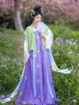 Tang Dynasty Hanfu Set – Embroidered Qixiong Qun (High-Waisted Skirt) & Beizi-1