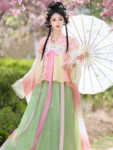 Tang Dynasty Hanfu Set – Embroidered Qixiong Qun (High-Waisted Skirt) & Beizi-1