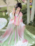 Tang Dynasty Hanfu Set – Embroidered Qixiong Qun (High-Waisted Skirt) & Beizi-1