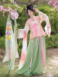 Tang Dynasty Hanfu Set – Embroidered Qixiong Qun (High-Waisted Skirt) & Beizi-1