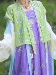 Tang Dynasty Hanfu Set – Embroidered Qixiong Qun (High-Waisted Skirt) & Beizi-1