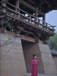 Westliche Han-Dynastie Zhiju Hanfu Robe-1