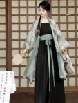 New Chinese Style Women’s Beizi Hanfu Set-1