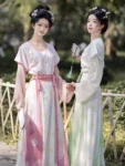 Hanfu de la dynastie Tang – Tang Beizi Qiyao Ruqun Set-1