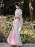 Hanfu de la dynastie Tang – Tang Beizi Qiyao Ruqun Set-1
