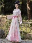 Hanfu de la dynastie Tang – Tang Beizi Qiyao Ruqun Set-1