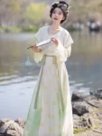 Hanfu de la dynastie Tang – Tang Beizi Qiyao Ruqun Set-1