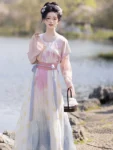 Hanfu de la dynastie Tang – Tang Beizi Qiyao Ruqun Set-1