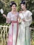Hanfu de la dynastie Tang – Tang Beizi Qiyao Ruqun Set-1