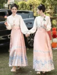 Chinese Style Pink Mamian Skirt Set-2