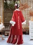 Ming Dynasty Autumn Winter Red Long Ao Hanfu Set-1