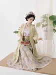 Song Dynasty Hanfu Green Embroidered Outer Top with Qiyao Qun-1