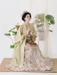 Song Dynasty Hanfu Green Embroidered Outer Top with Qiyao Qun-1