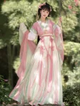 Tang Dynasty Embroidered Beizi Qiyao Qun(Skirt) Hanfu Set-1