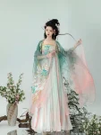 Tang-dynastie Fee Geborduurde Qixiong Ruqun Set-1