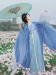Traditional Chinese Style Blue Qiyao Qun Set-2
