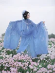Traditional Chinese Style Blue Qiyao Qun Set-2
