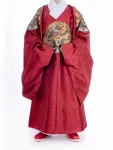 Ming-dynastie Hanfu draak geborduurd Dao Robe-1