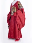 Ming-dynastie Hanfu draak geborduurd Dao Robe-1