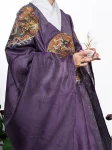 Motivo del dragón Hanfu de la dinastía Ming Daopao-1