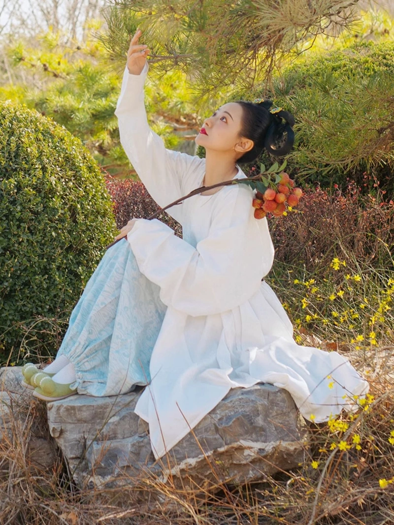 Tang Dynasty Hanfu Yuanlingpao Round Collar Robe Unisex-4