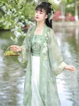Lime Green Song Dynasty Style Hanfu Dress Set (13)
