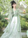 Lime Green Song Dynasty Style Hanfu Dress Set (13)