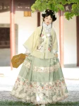 Ming Dynasty Hanfu Autumn Winter Mamian Skirt Set-1
