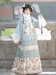 Ming Dynasty Hanfu Autumn Winter Mamian Skirt Set-1