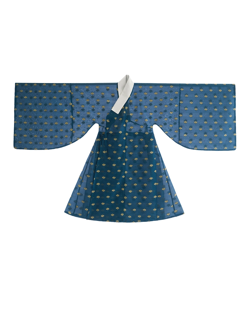 Ming Dynasty Hanfu Cross-Collared Gold Gauze Cloud & Goose Robe (10)