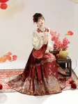 New Chinese Style Red Embroidered Hanfu Set with Yunjian Top and Ma Mian Qun (6)