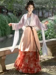 Songdynastie Hanfu Lady-geïnspireerde geborduurde set (3)