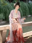 Songdynastie Hanfu Lady-geïnspireerde geborduurde set (3)