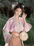 Songdynastie Hanfu Lady-geïnspireerde geborduurde set (3)