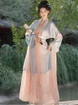 Songdynastie Hanfu Lady-geïnspireerde geborduurde set (3)