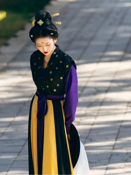 Tang Dynasty Hanfu Beizi Collection