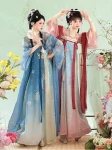 Tangdynastin Hanfu Broderad Qixiong Ruqun Set-1